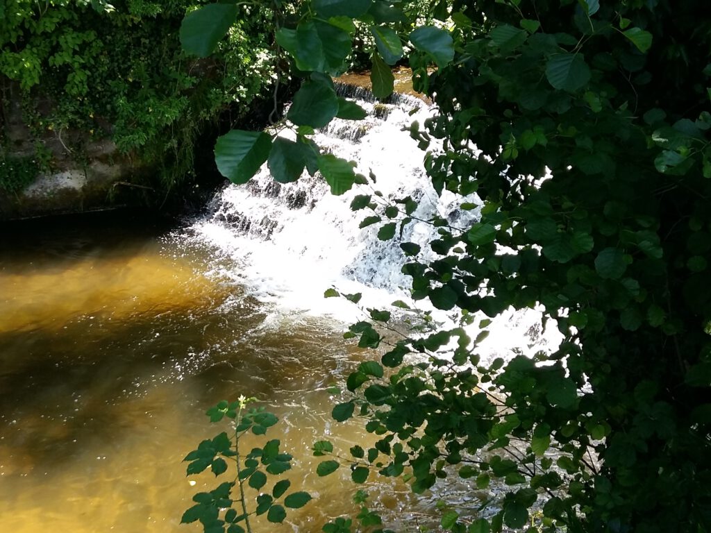 hilfe bei narzisstischem missbrauch