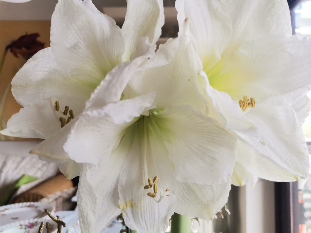 Hilfe bei Angstattacken