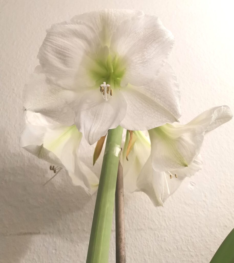 hilfe bei toxischen beziehungen