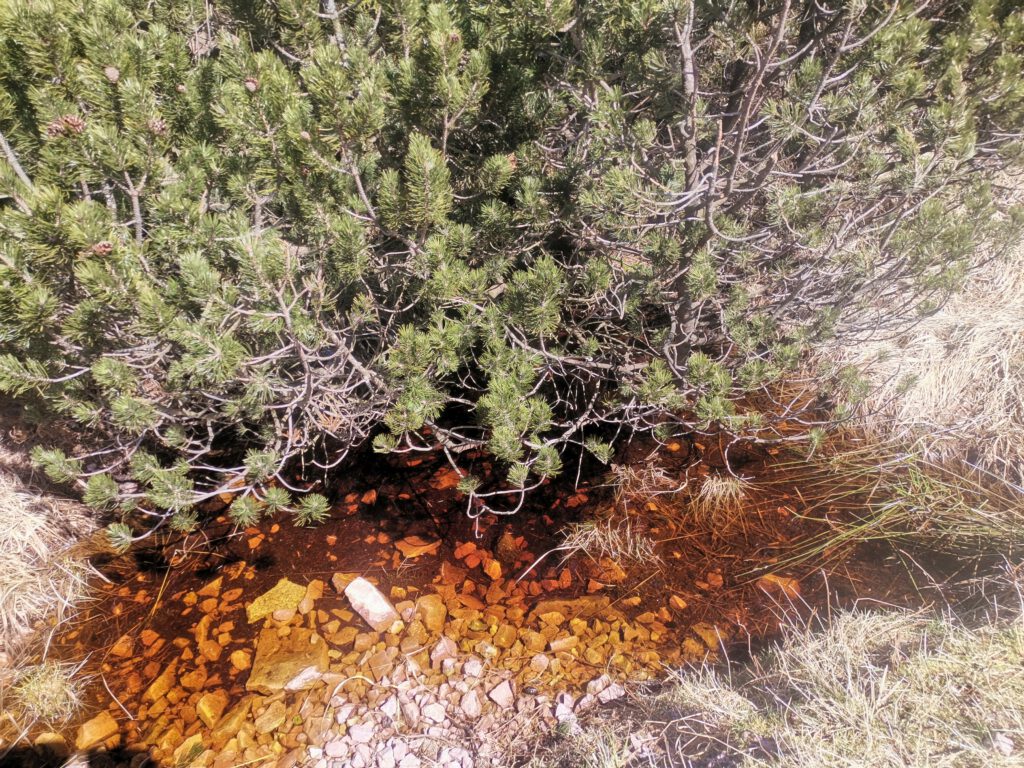 hilfe bei schlafstörungen