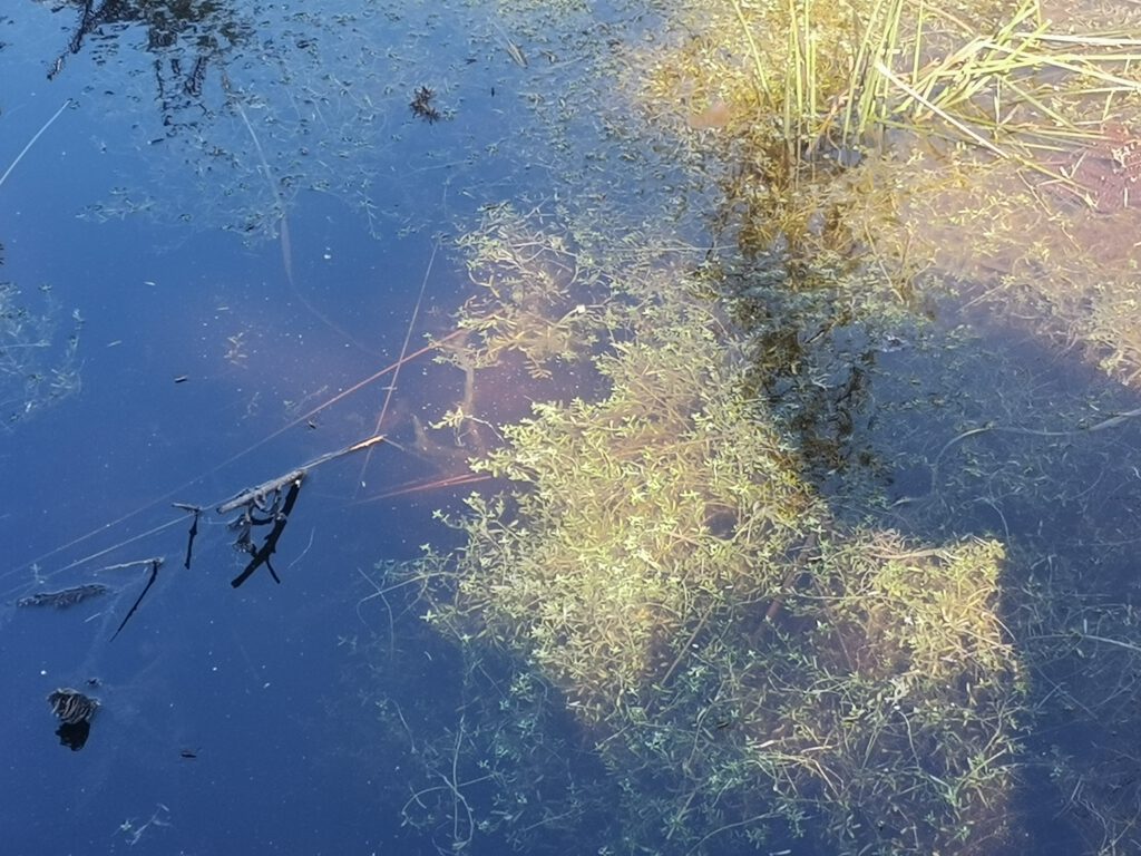 online Therapie bei Instabilität